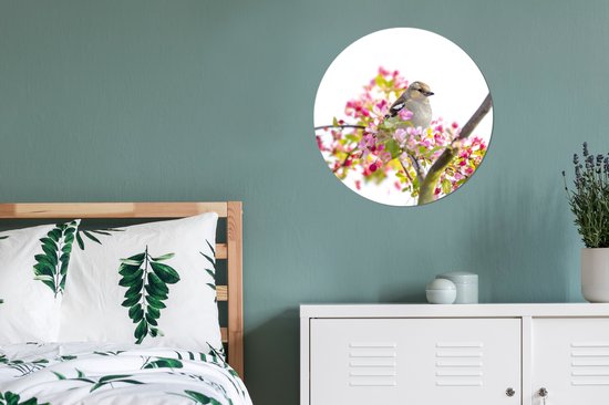 WallCircle - Stickers muraux - Cercle de Papier Peint - Vogel parmi les Fleurs Roses - 80x80 cm - Cercle Mural - Auto Adhésif - Autocollant Rond de Papier Peint