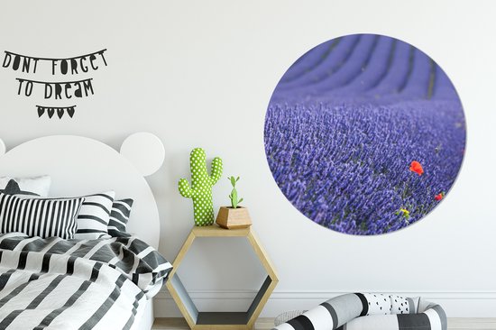 WallCircle - Cercle Mural - Cercle Lavande - Coquelicot - Prairie de Fleurs - Aluminium - Dibond - 120x120 cm - Intérieur et Extérieur XXL