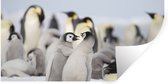 Muurstickers - Sticker Folie - Pinguïns - Sneeuw - Dieren - 80x40 cm - Plakfolie - Muurstickers Kinderkamer - Zelfklevend Behang - Zelfklevend behangpapier - Stickerfolie