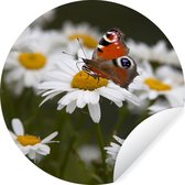 WallCircle - Muurstickers - Behangcirkel - Dagpauwoog vlinder met madeliefjes - ⌀ 30 cm - Muurcirkel - Zelfklevend - Ronde Behangsticker