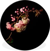 Une fleur de cerisier sur fond noir Cercle mural aluminium ⌀ 30 cm - impression photo sur cercle mural / cercle vivant / cercle de jardin (décoration murale)