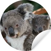 WallCircle - Muurstickers - Behangcirkel - Koala's - Vader - Kind - Kinderen - Jongens - Meisjes - 50x50 cm - Muurcirkel - Zelfklevend - Ronde Behangsticker