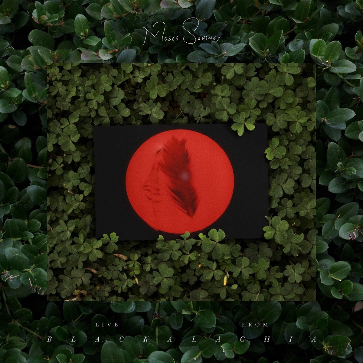 Moses Sumney - Live From Blackalachia (2 LP) (Coloured Vinyl)