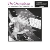 The Chameleons - Live At The Gallery Club (LP)