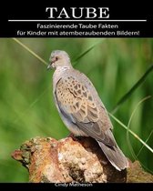 Taube