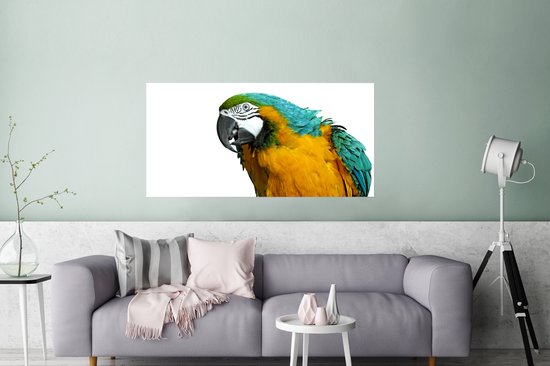 Affiche Perroquet - Vogel - Ressorts - Portrait - 120x60 cm
