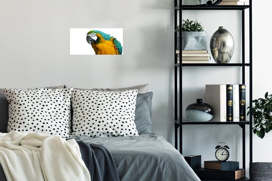 Affiche Perroquet - Vogel - Ressorts - Portrait - 40x20 cm