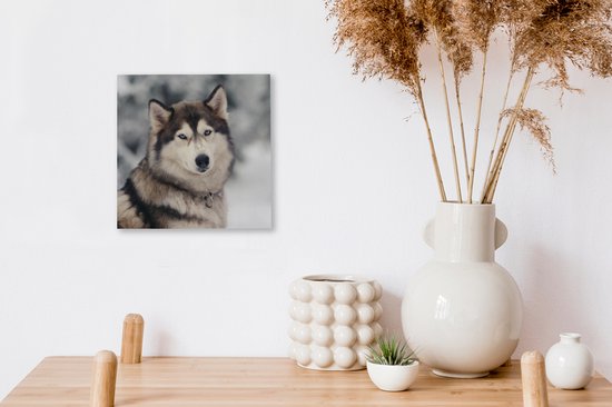 Toile Peinture Husky - 20x20 cm - Décoration murale