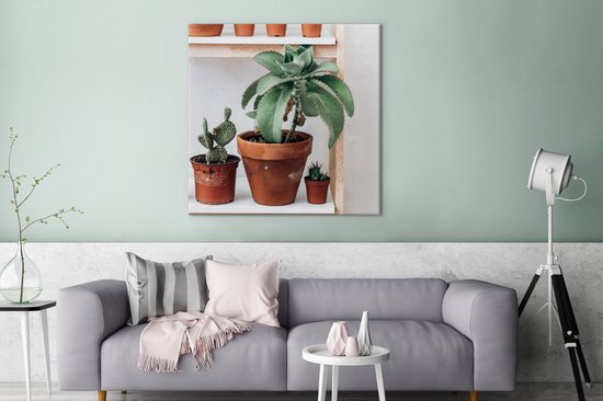 Tableau sur toile Cactus sur étagère - 90x90 cm - Décoration murale