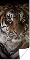 Affiche Tigre - Tête - Zwart - 40x80 cm
