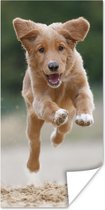 Poster Rennende hond foto - 60x120 cm