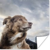 Poster Starende hond - 100x100 cm XXL