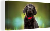 Canvas schilderij 160x80 cm - Wanddecoratie Een zwarte Labrador Retriever die omhoog kijkt - Muurdecoratie woonkamer - Slaapkamer decoratie - Kamer accessoires - Schilderijen