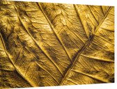 Close-up patroon van goud blad - Foto op Dibond - 90 x 60 cm
