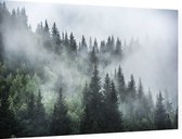 Misty Forest - Foto op Dibond - 90 x 60 cm