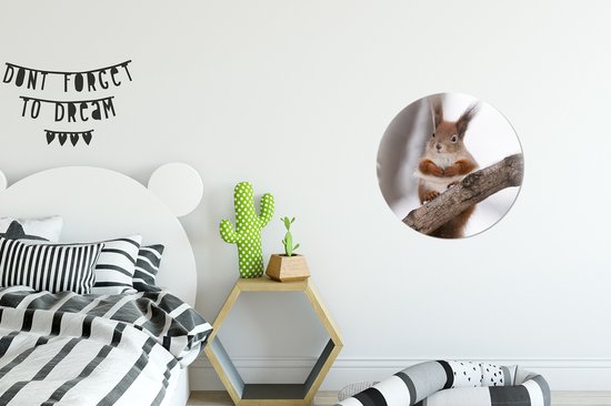 Cercle mural - Cercle mural intérieur - Écureuil - Arbre - Flocon de neige - Hiver - ⌀ 30 cm - Décoration murale - Peintures ronds