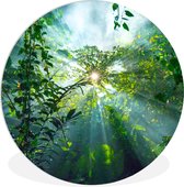 WallCircle - Wandcirkel ⌀ 140 - Zonlicht schijnt op een grot in het regenwoud van Maleisië - Ronde schilderijen woonkamer - Wandbord rond - Muurdecoratie cirkel - Kamer decoratie binnen - Wanddecoratie muurcirkel - Woonaccessoires