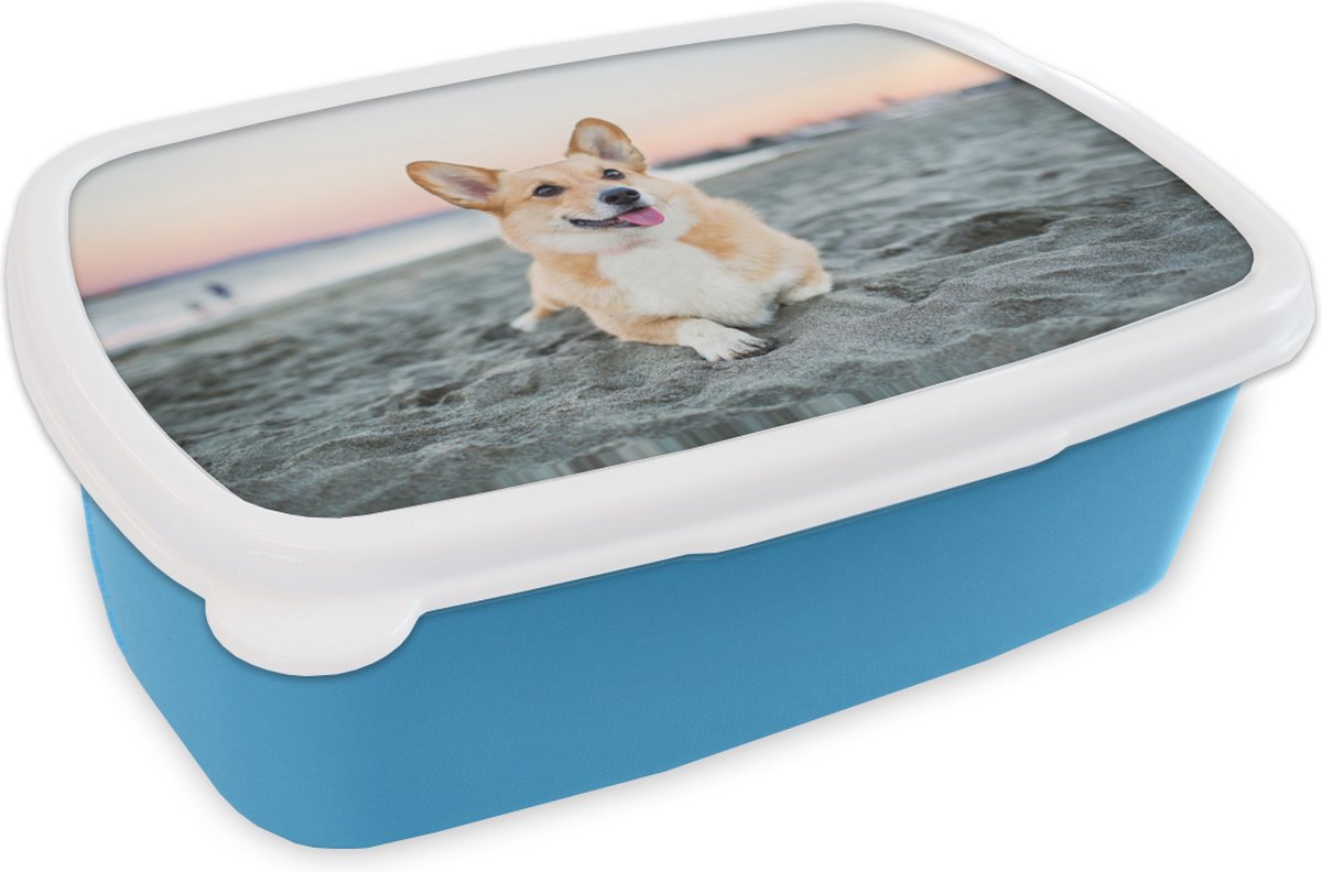 Broodtrommel Blauw - Lunchbox - Brooddoos - Hond op het strand - 18x12x6 cm - Kinderen - Jongen