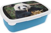 Broodtrommel Blauw - Lunchbox - Brooddoos - Panda - Bamboe - Natuur - 18x12x6 cm - Kinderen - Jongen