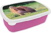 Broodtrommel Roze - Lunchbox - Brooddoos - Een familie Capibara's in een groen gebied - 18x12x6 cm - Kinderen - Meisje
