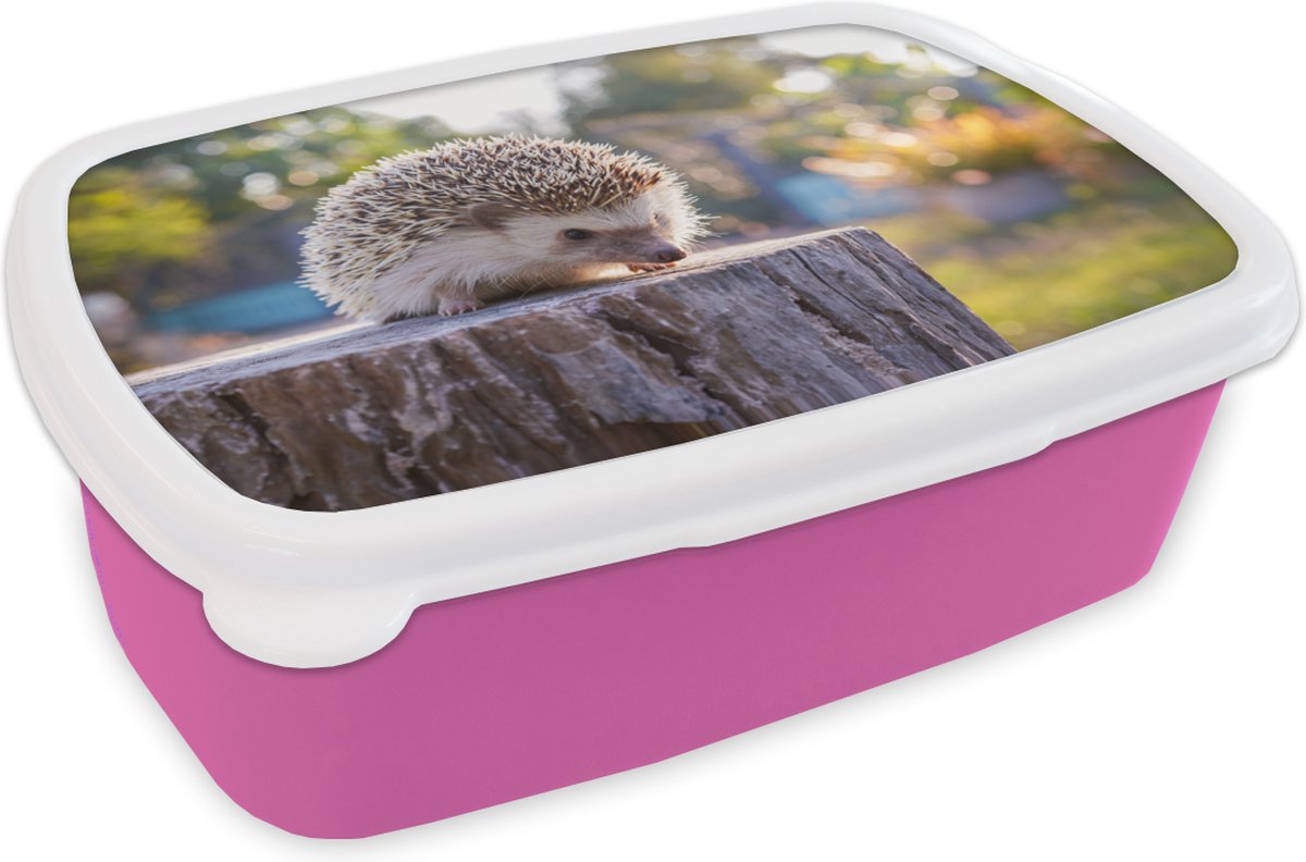 Broodtrommel Roze - Lunchbox - Brooddoos - Egel op een boomstam - 18x12x6 cm - Kinderen - Meisje