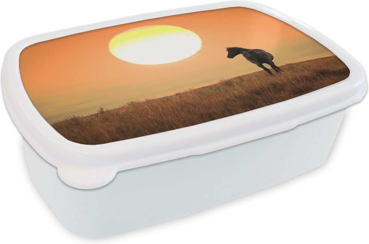 Broodtrommel Wit - Lunchbox - Brooddoos - Wild paard op grasland - 18x12x6 cm - Volwassenen
