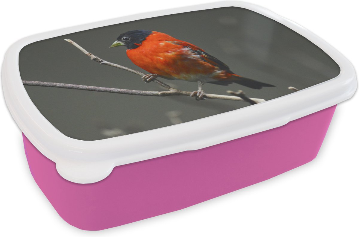 Broodtrommel Roze - Lunchbox - Brooddoos - Vogel - Rood - Tak - 18x12x6 cm - Kinderen - Meisje