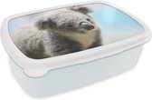 Broodtrommel Wit - Lunchbox - Brooddoos - Koala - Portret - Dier - Kinderen - Jongens - Meiden - 18x12x6 cm - Volwassenen
