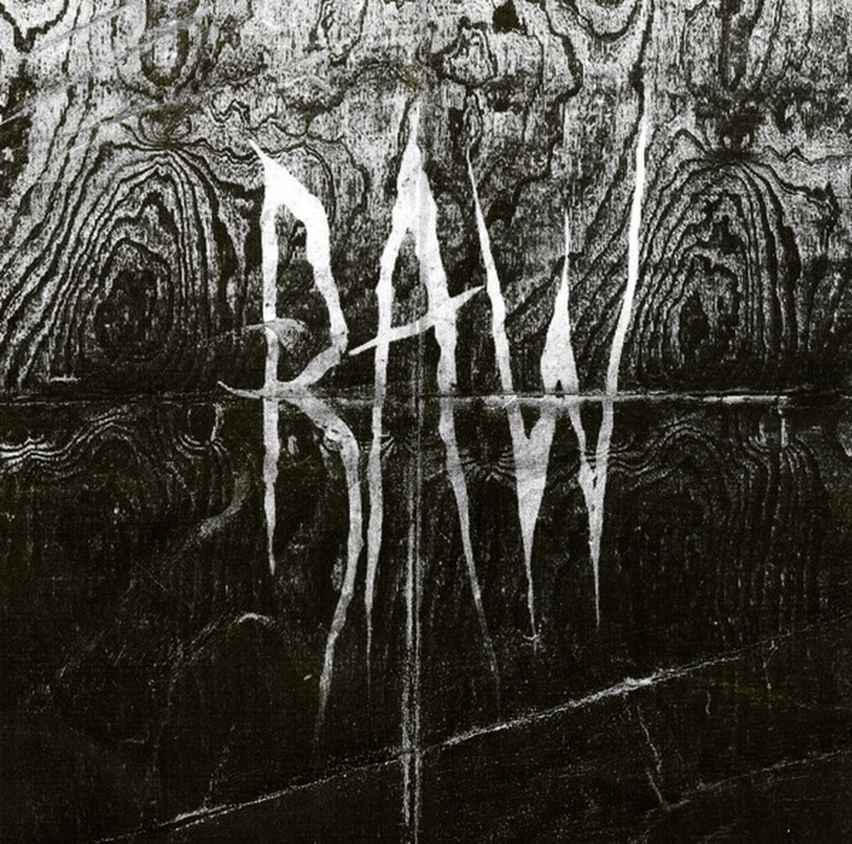 Raw - From The First Glass To The Grave (LP)