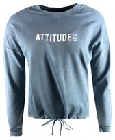 ELVIRA COLLECTIONS SWEATER ATTITUDE STEAL