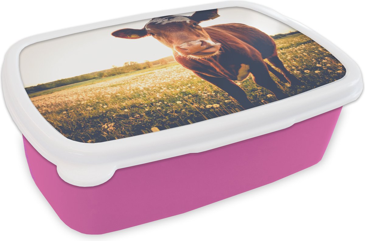 Broodtrommel Roze - Lunchbox - Brooddoos - Koe - Dier - Zon - Bruin - 18x12x6 cm - Kinderen - Meisje