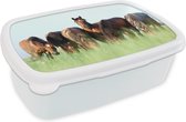 Broodtrommel Wit - Lunchbox Paarden - Dieren - Gras - Zomer - Brooddoos 18x12x6 cm - Brood lunch box - Broodtrommels voor kinderen en volwassenen