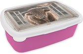 Broodtrommel Roze - Lunchbox - Brooddoos - Schotse hooglander - Dier - Doorkijk - 18x12x6 cm - Kinderen - Meisje