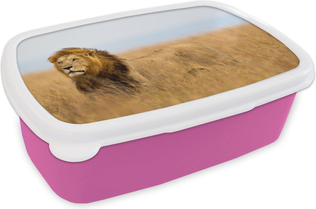 Broodtrommel Roze - Lunchbox - Brooddoos - Leeuwen - Gras - Afrika - 18x12x6 cm - Kinderen - Meisje