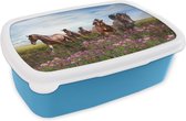 Broodtrommel Blauw - Lunchbox - Brooddoos - Paarden - Bloemen - Roze - 18x12x6 cm - Kinderen - Jongen