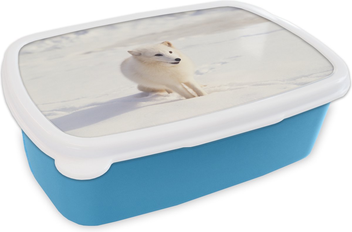 Broodtrommel Blauw - Lunchbox - Brooddoos - Vos - Sneeuw - Wit - 18x12x6 cm - Kinderen - Jongen