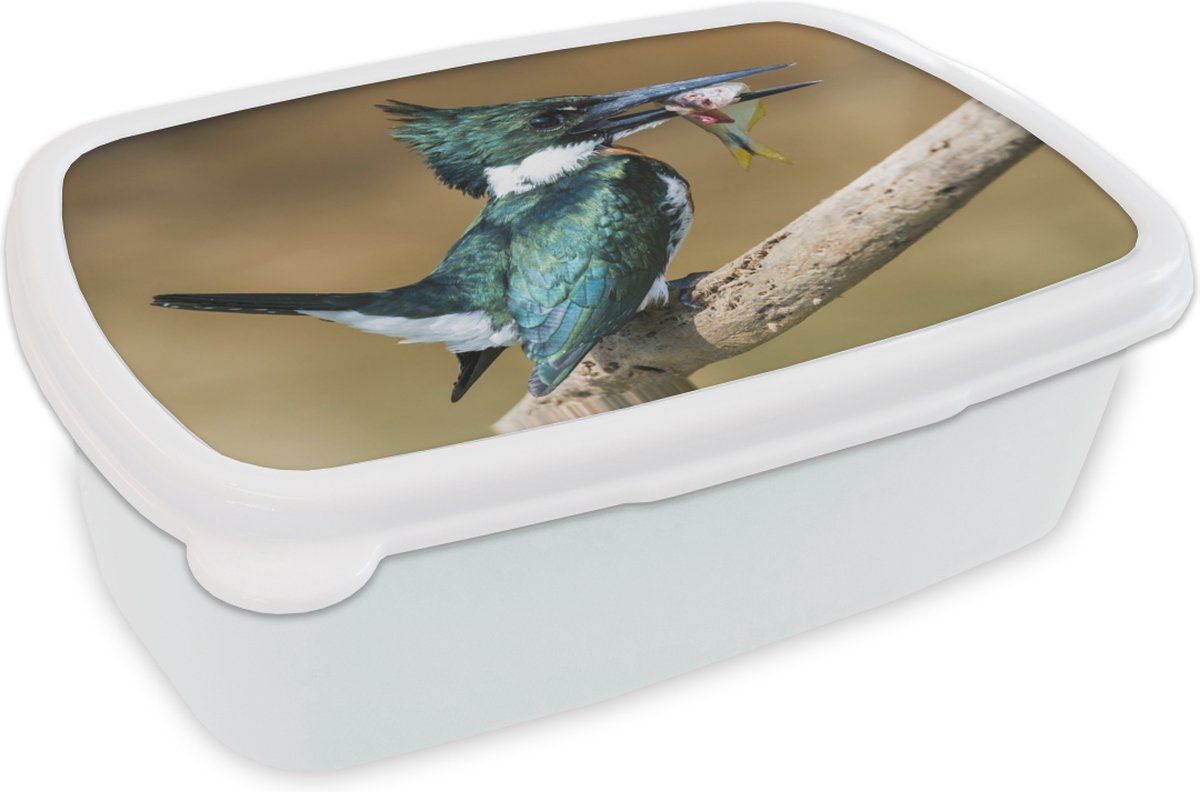 Broodtrommel Wit - Lunchbox - Brooddoos - Vogel - Vis - Tak - 18x12x6 cm - Volwassenen