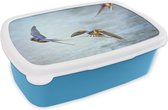 Broodtrommel Blauw - Lunchbox - Brooddoos - Zwaluw - Water - Blauw - 18x12x6 cm - Kinderen - Jongen