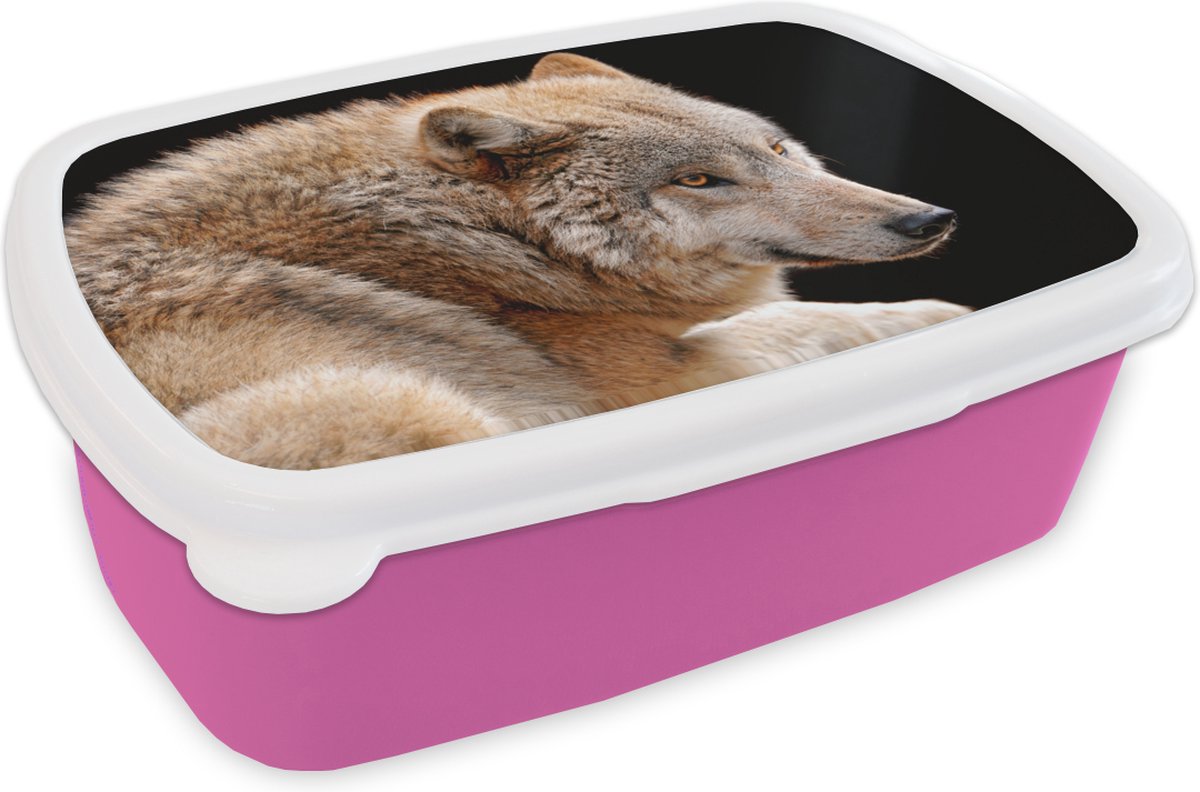 Broodtrommel Roze - Lunchbox - Brooddoos - Bruine wolf - 18x12x6 cm - Kinderen - Meisje