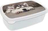 Broodtrommel Wit - Lunchbox - Brooddoos - Husky puppy slaapt - 18x12x6 cm - Volwassenen