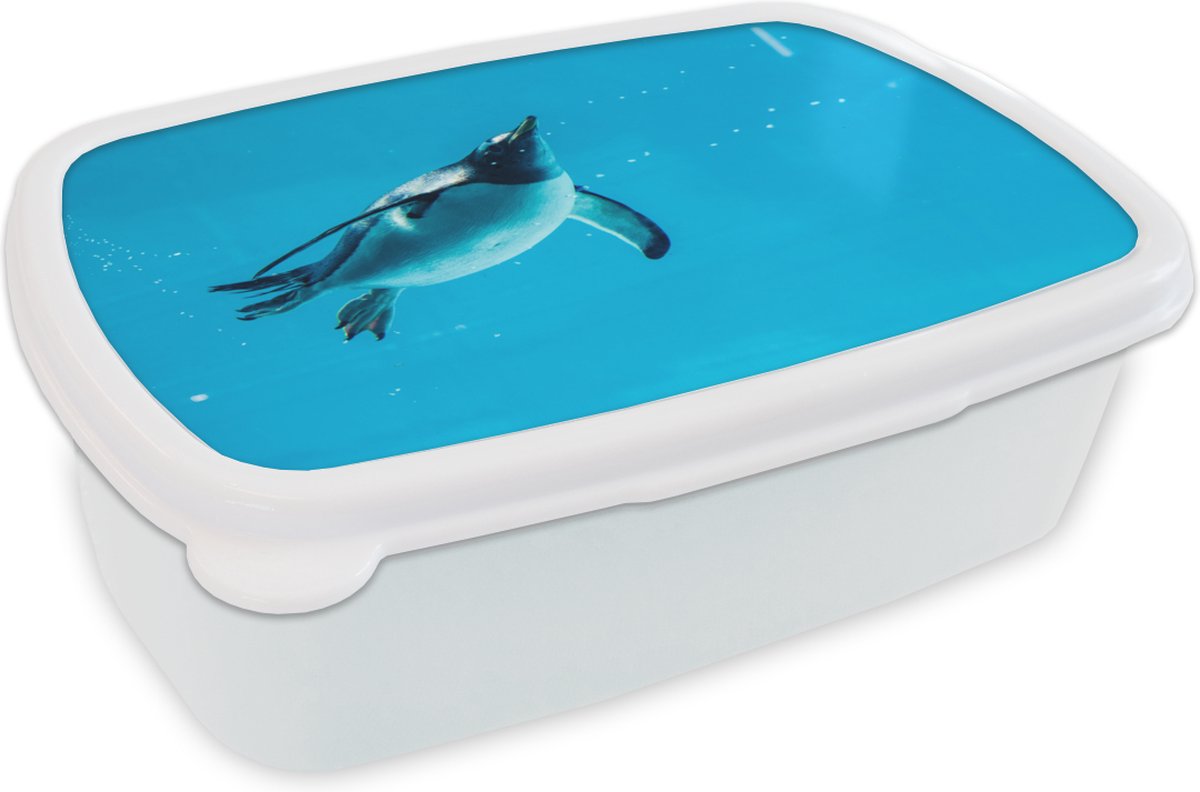 Broodtrommel Wit - Lunchbox - Brooddoos - Een zwemmende pinguïn - 18x12x6 cm - Volwassenen