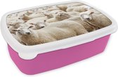 Broodtrommel Roze - Lunchbox - Brooddoos - Schapen - Wol - Wit - 18x12x6 cm - Kinderen - Meisje