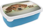 Broodtrommel Blauw - Lunchbox - Brooddoos - Een puppy kijkt door een hek heen - 18x12x6 cm - Kinderen - Jongen