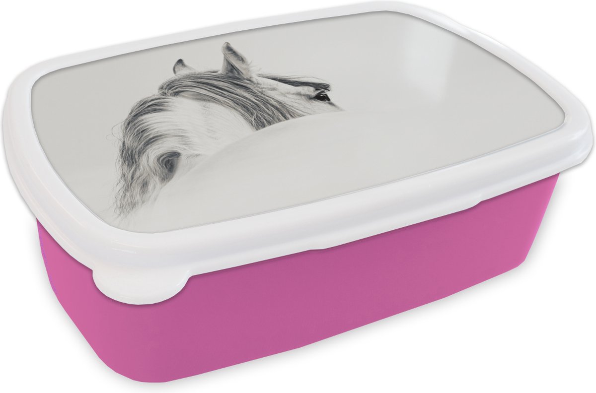 Broodtrommel Roze - Lunchbox - Brooddoos - Paard - Wit - Grijs - 18x12x6 cm - Kinderen - Meisje