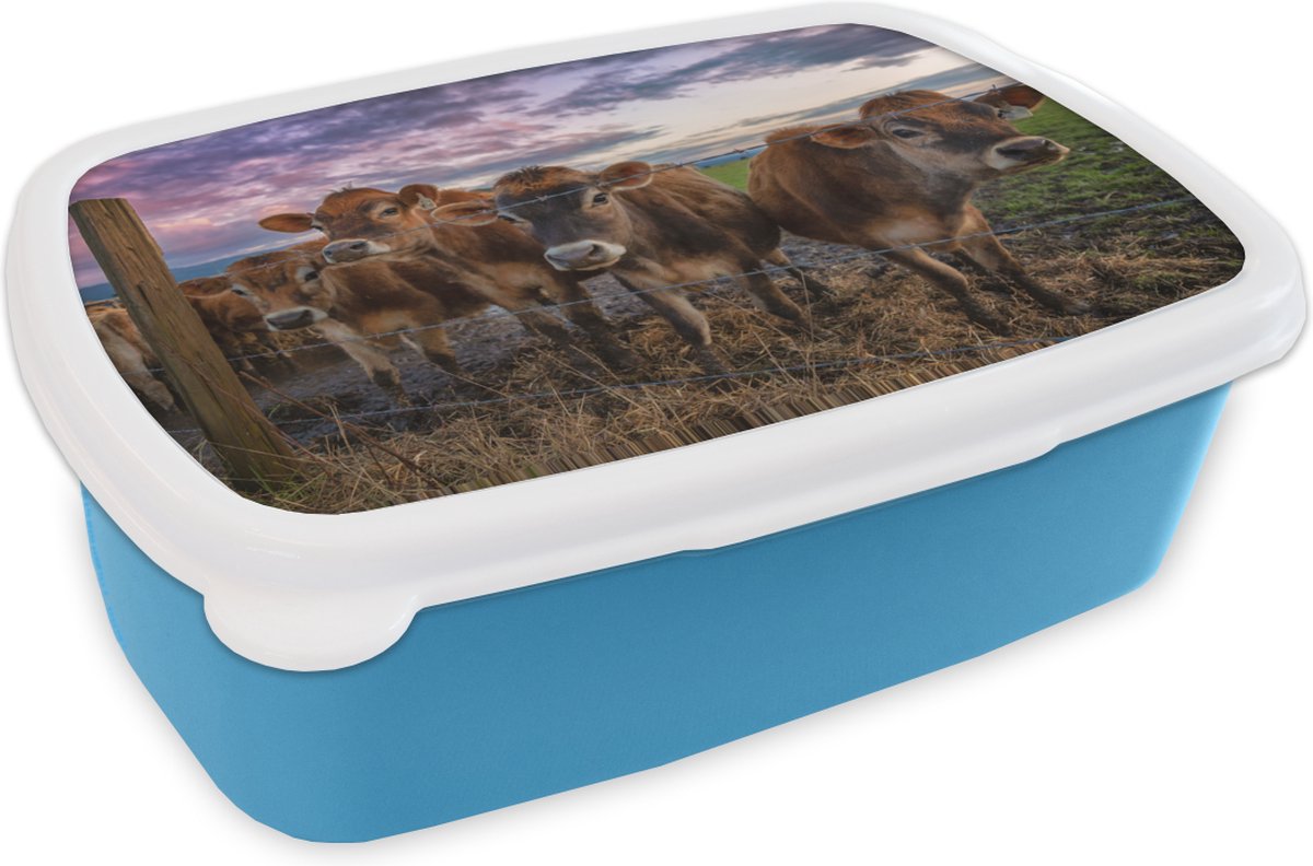 Broodtrommel Blauw - Lunchbox - Brooddoos - Koe - Hek - Lucht - 18x12x6 cm - Kinderen - Jongen