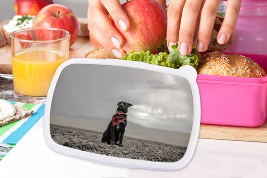 Lunch box Rose - Lunch box - Boîte à pain - Chien - Plage - Nuage - 18x12x6 cm - Enfants - Fille