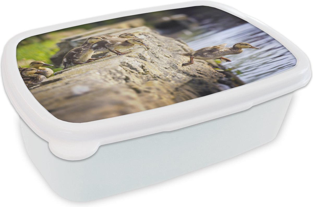 Broodtrommel Wit - Lunchbox - Brooddoos - Eenden - Stenen - Kuiken - 18x12x6 cm - Volwassenen