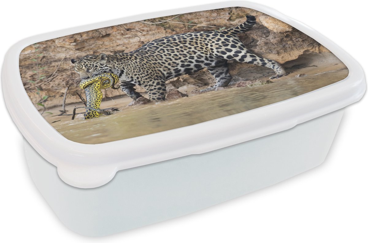 Broodtrommel Wit - Lunchbox - Brooddoos - Jaguar - Slang - Water - 18x12x6 cm - Volwassenen