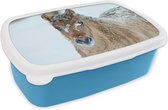 Broodtrommel Blauw - Lunchbox - Brooddoos - Jong fjord paard bedekt met sneeuw - 18x12x6 cm - Kinderen - Jongen