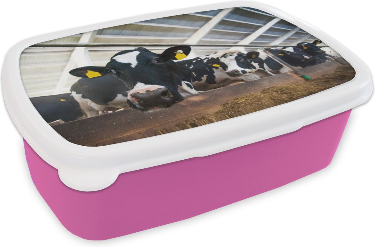 Broodtrommel Roze - Lunchbox - Brooddoos - Koe - Boerderij - Stal - 18x12x6 cm - Kinderen - Meisje